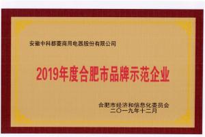 2019年度合肥市品牌示范企业